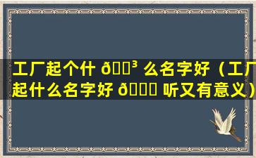 工厂起个什 🐳 么名字好（工厂起什么名字好 🐅 听又有意义）